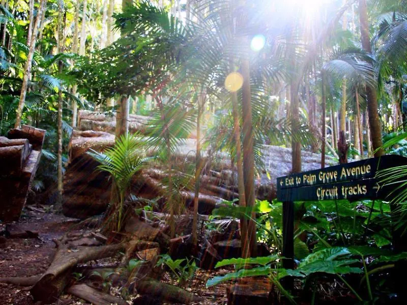 Bed & Breakfast Mountain Sanctuary B&B Mount Tamborine