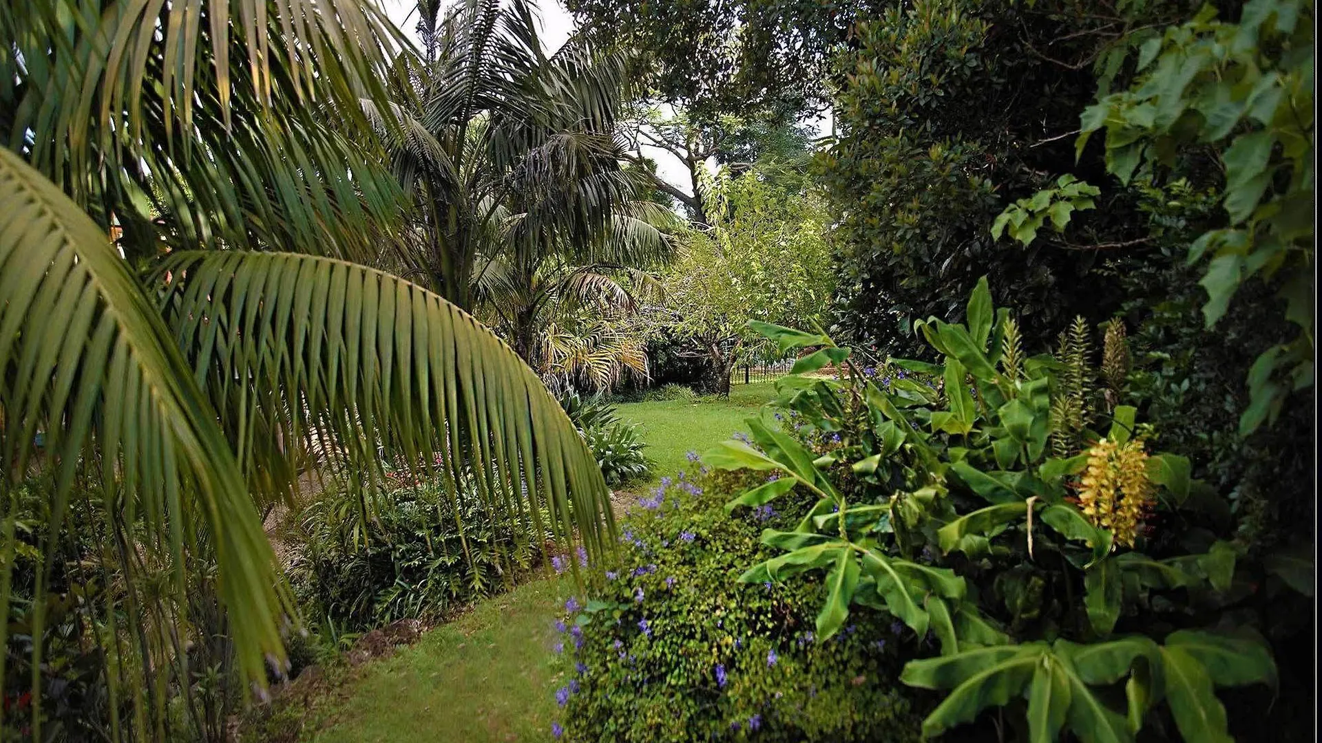Mountain Sanctuary B&B Mount Tamborine Australia